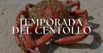 La Temporada del Centollo Gallego: Propiedades, Selección y Receta Clásica