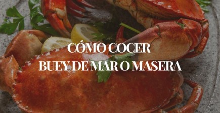 Cómo cocer el buey de mar o masera