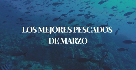 Los mejores pescados de temporada en marzo: frescura y sabor en su mejor momento