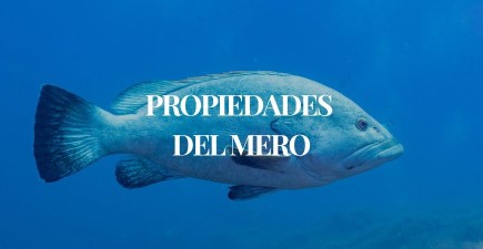 Mero: Propiedades, beneficios y las mejores Formas de Cocinarlo