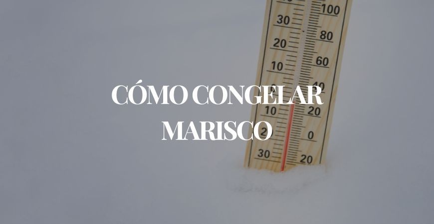 Cómo congelar marisco