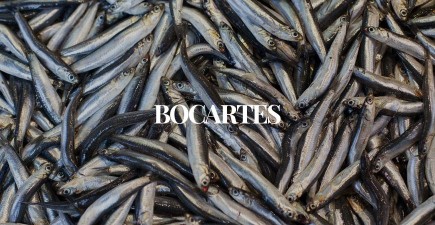 Beneficios y curiosidades del bocarte: el tesoro azul del mar