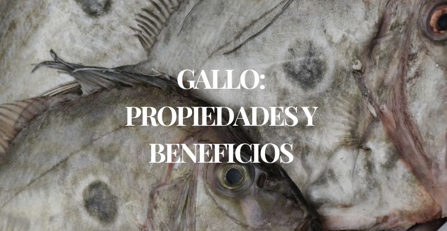 El pez gallo: propiedades, beneficios y todo lo que debes saber sobre este tesoro del mar